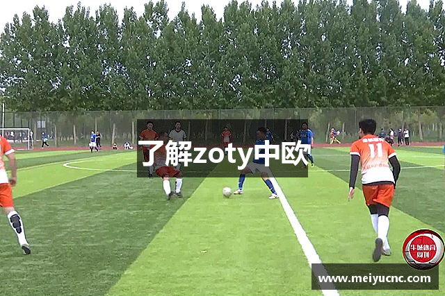 了解zoty中欧